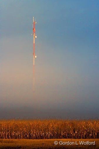 Communications Tower Rising Out Of Fog_22810.jpg - Photographed near Lindsay, Ontario, Canada.
